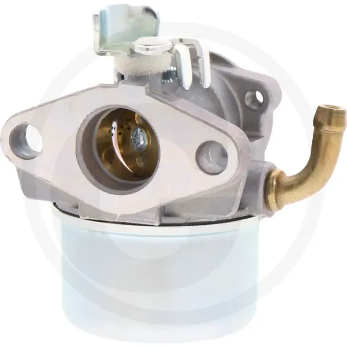 Carburateur Briggs & Stratton 120200 Populair