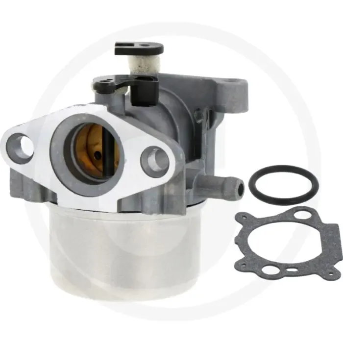 Gratis Verzending Carburateur Briggs & Stratton 122M00