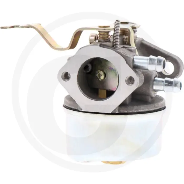 Bestel Nu Carburateur Tecumseh OH 195