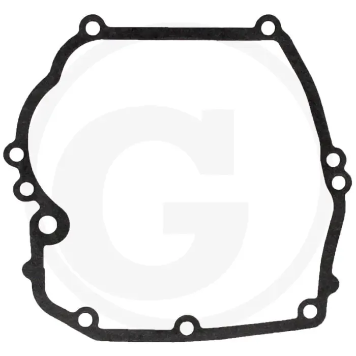 Laatste Kans Carterpakking Briggs & Stratton 12B900