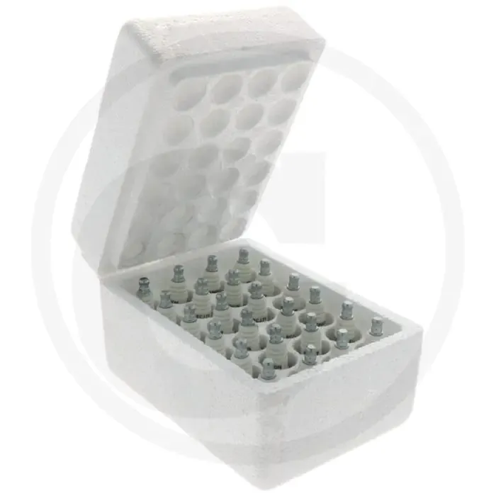 Speciale Aanbieding Champion Bougies (RC12YC)