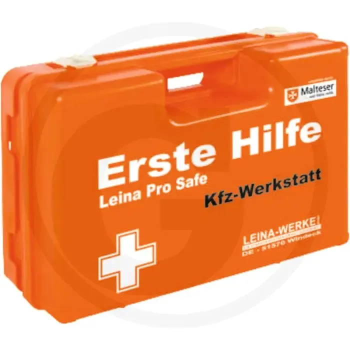 Betaalbaar Leina Werke EHBO koffer Pro Safe 310x130x210 mm