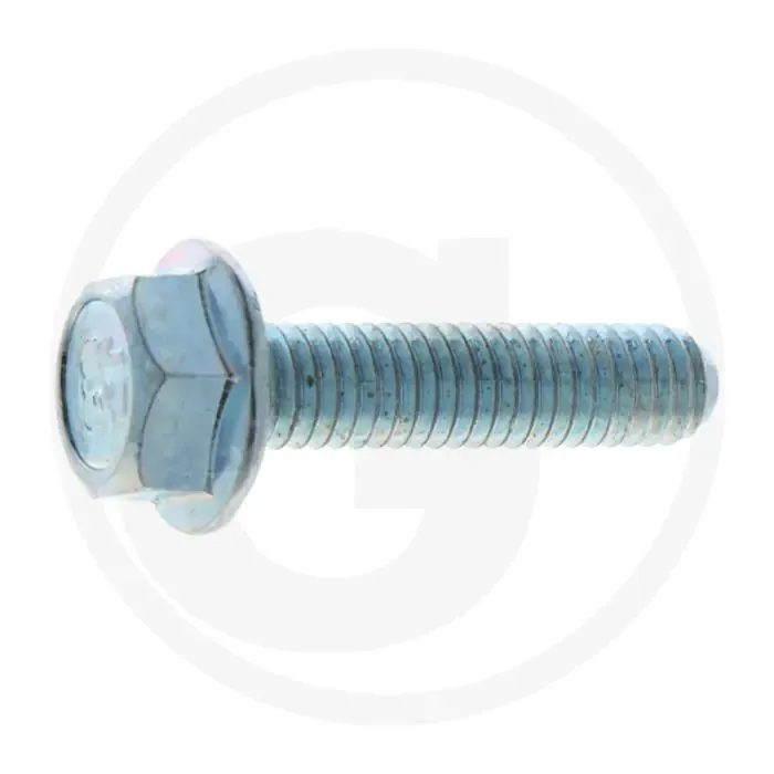 Loncin Klepdekselbout - Type: LC 1P96 F Koopje