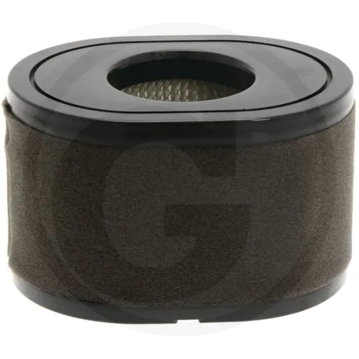 Loncin Luchtfilter compleet (filter + voorfilter) Express Levering