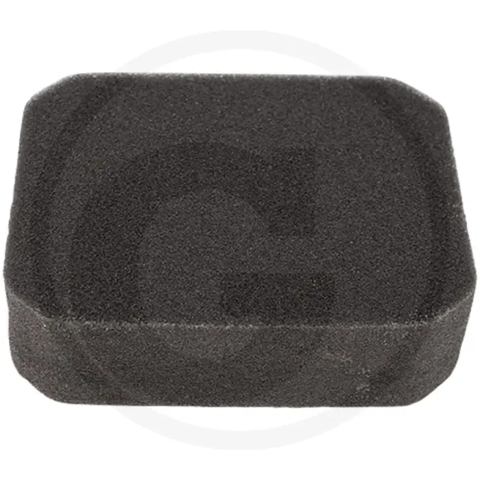 Must-Have Luchtfilter EX 27 140x111x38 mm - Robin