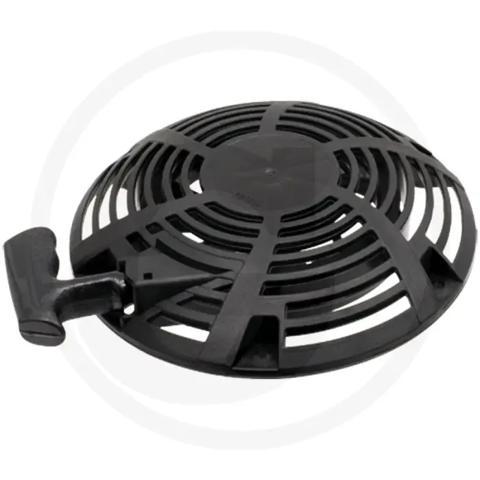 Must-Have Repeteerstarter 111P00 - Briggs & Stratton