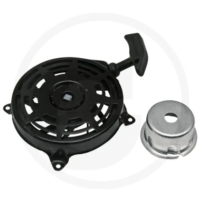 Koop Online Repeteerstarter Briggs & Stratton 12T800