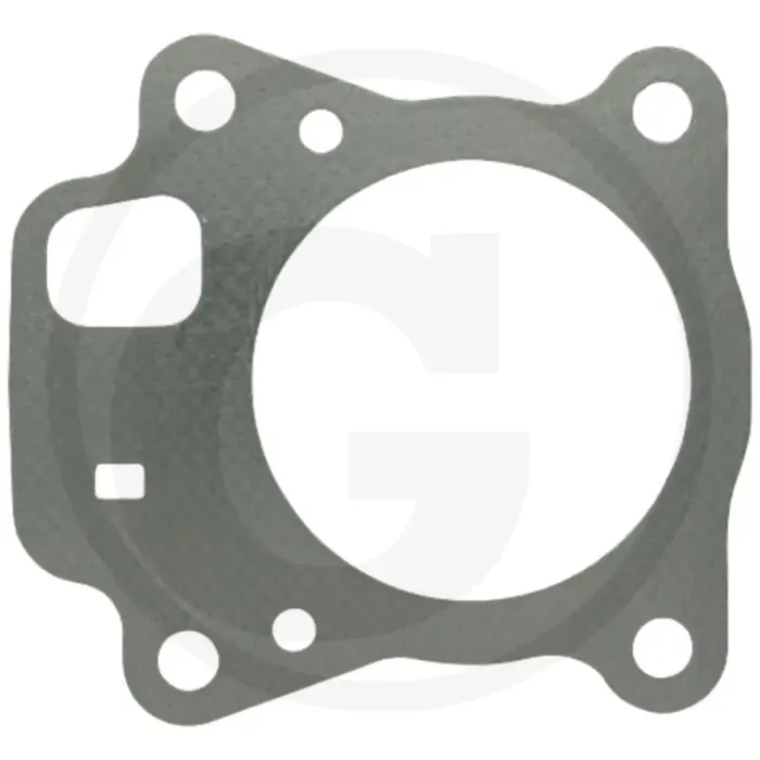 Betaalbaar Zylinderkopfdichtung - Briggs & Stratton 11P900