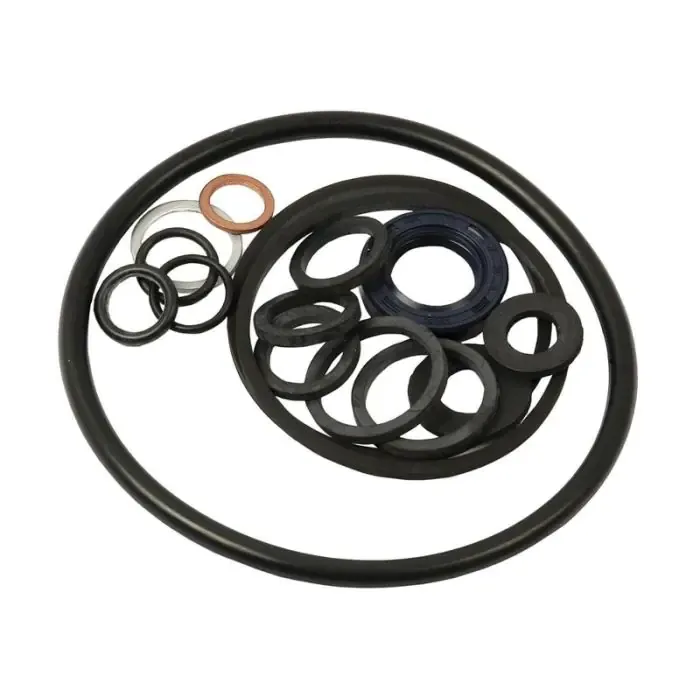Reparatieset (Air Equipment Pump) Direct Verzonden