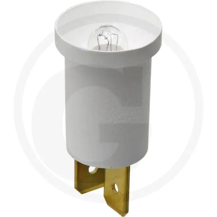 Snelle Levering Gloeilamp (dashbordverlichting)