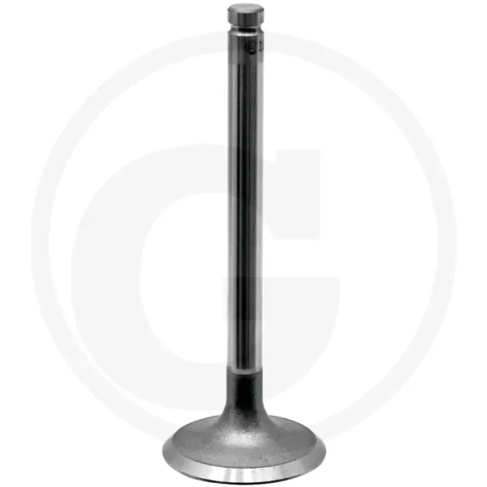 Tijdelijk Beschikbaar Inlaatklep (klepzitting 45°)