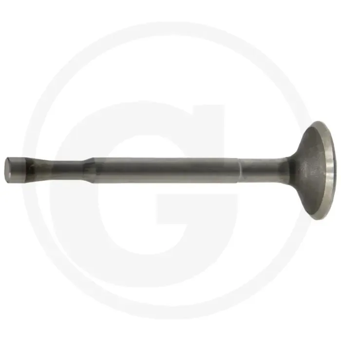 Inlaatklep - Motortype: LKN, Trekkertype: D 88, D 133 Lage Kosten