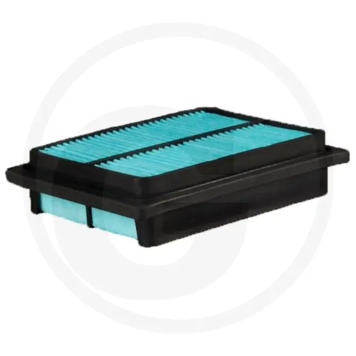 Donaldson Luchtfilter P500138 - Voor HITACHI 4234793, Efficiëntie 99% Actieprijs