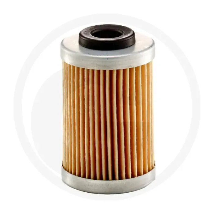 Beperkt Aanbod MANN FILTER Motoroliefilter H43/2 2,5 bar