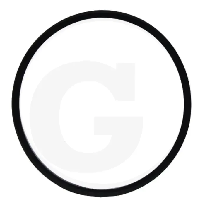 Korting O-ring (voor filterglas 8009984)