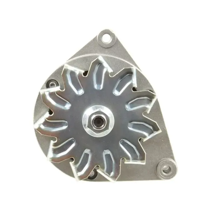 Dynamo (Mahle) - 14V, 33 Ampère Seizoensaanbieding