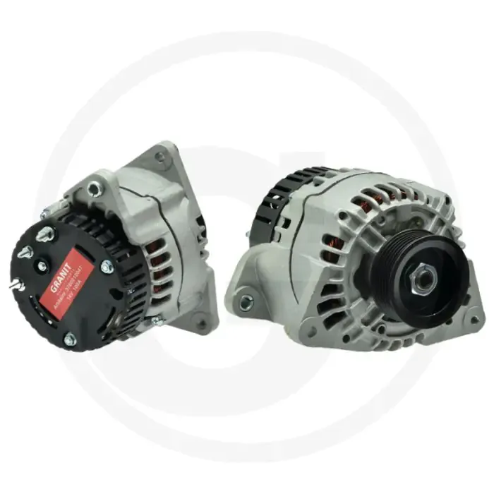 Dynamo 14 volt / 100 A (compact ontwerp, interne ventilator) Rechtstreeks Van De Fabrikant