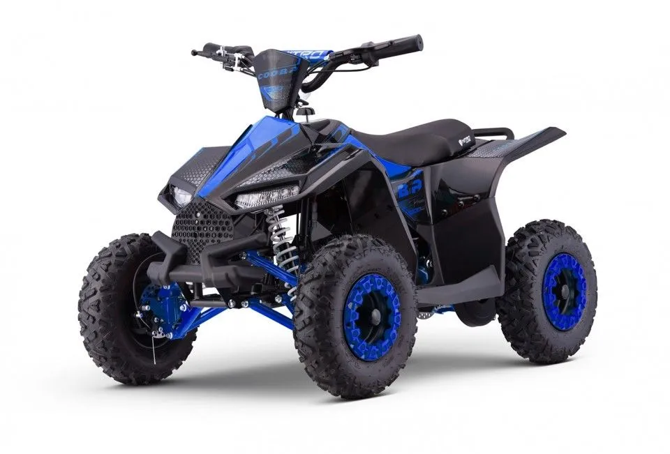 Betrouwbaar Elektrische mini quad kinderquads atv quad 1000w of benzine