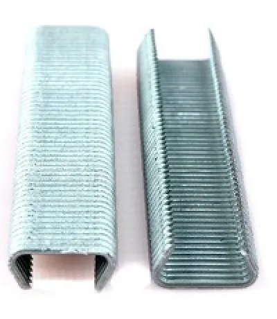 Shop Nu Gaaskrammen verzinkt 22mm (1000st)