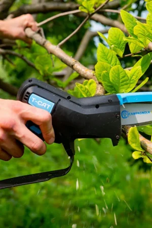 Alleen Vandaag Campagnola snoeizaag T-Cat accu 10.8 Volt