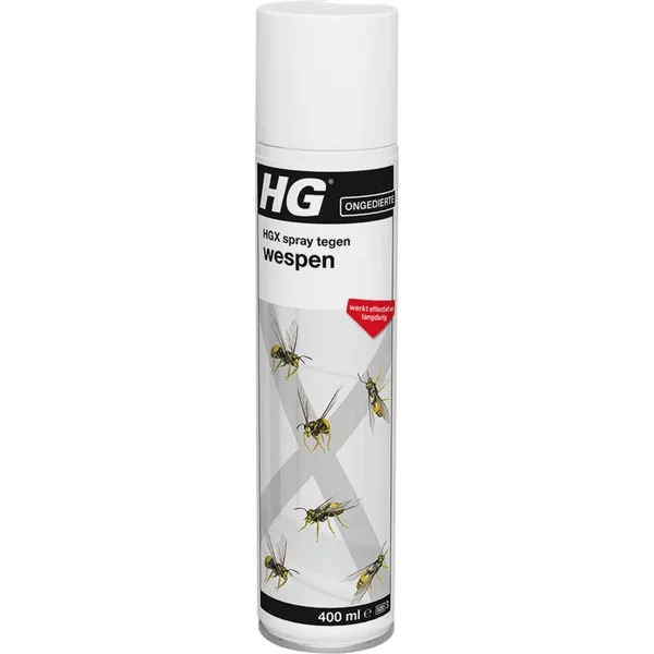 HGHGXspraytegenwespeninsecticide(400ml) Meest Verkocht